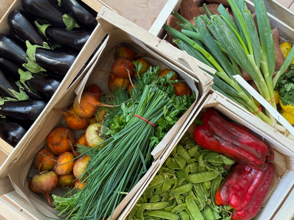 Légumes de saison en circuit court